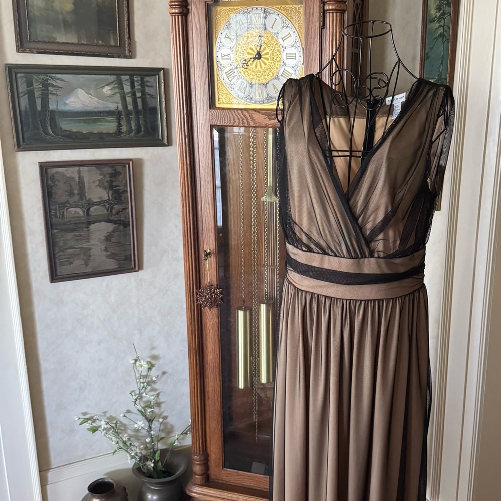 Newport News Sheer Brown Maxi Dress